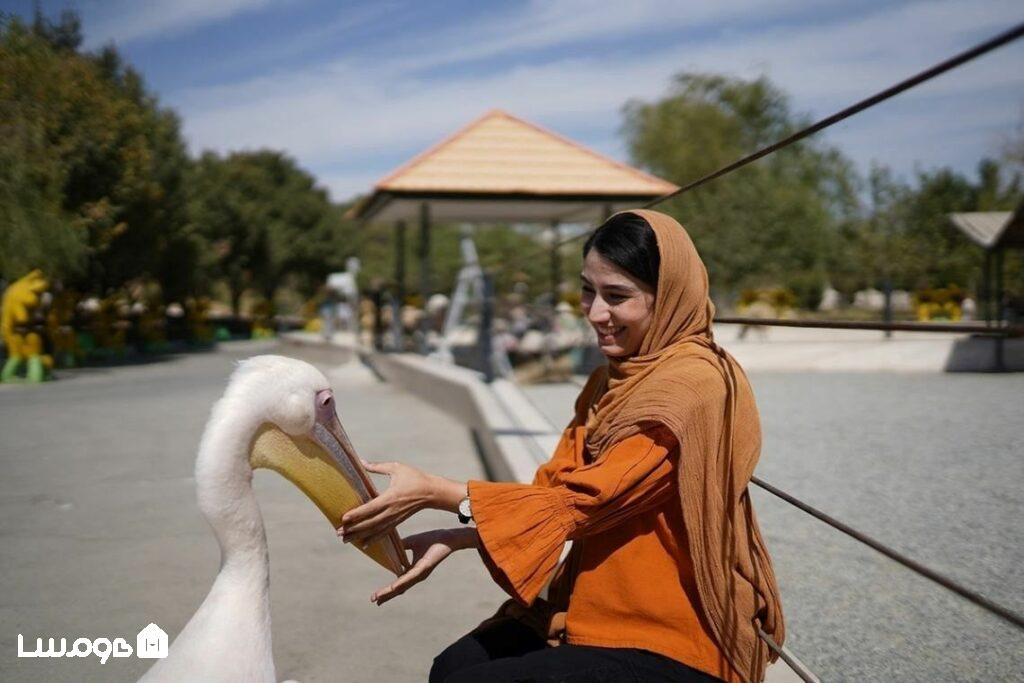 دوستی با حیوانات در باغ وحش صفادشت تهران