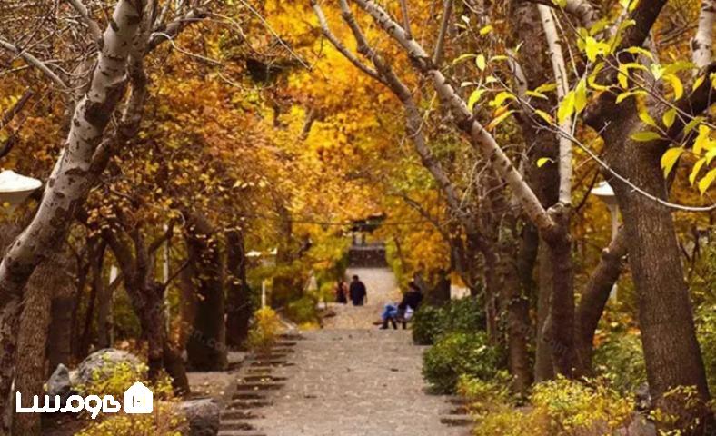 نمایی از درختان زرد رنگ پارک جمشیدیه تهران در فصل پاییز 