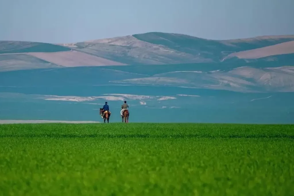 طبیعت بی‌نظیر ترکمن و زندگی مردم این منطقه جزو جاهای دیدنی بندر ترکمن