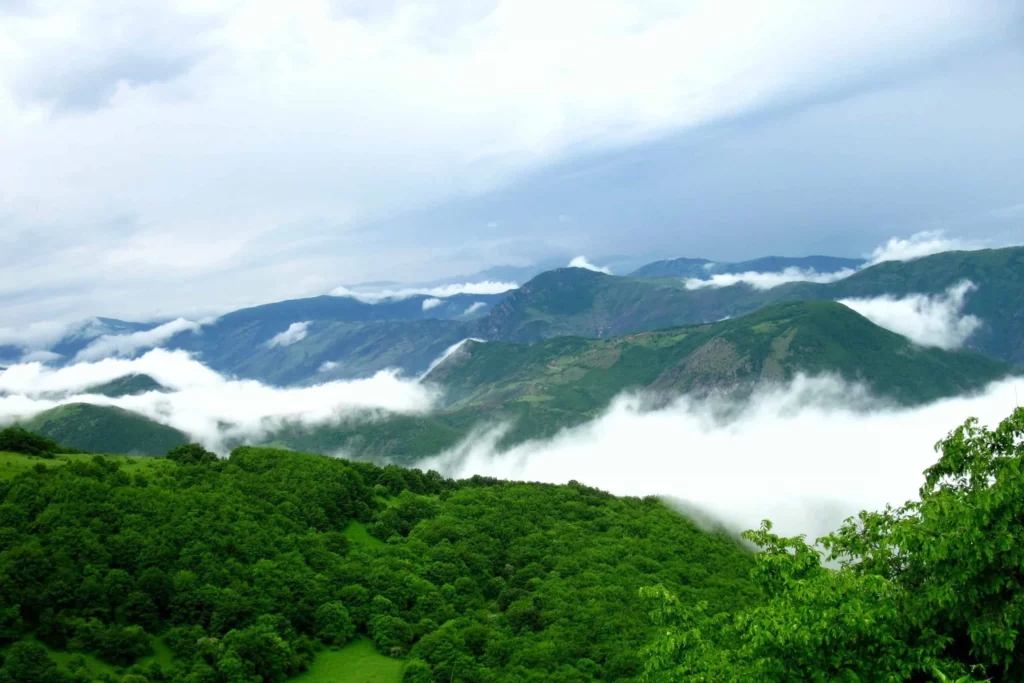 طبیعت جنگل گلستان: اولین پارک ملی ایران