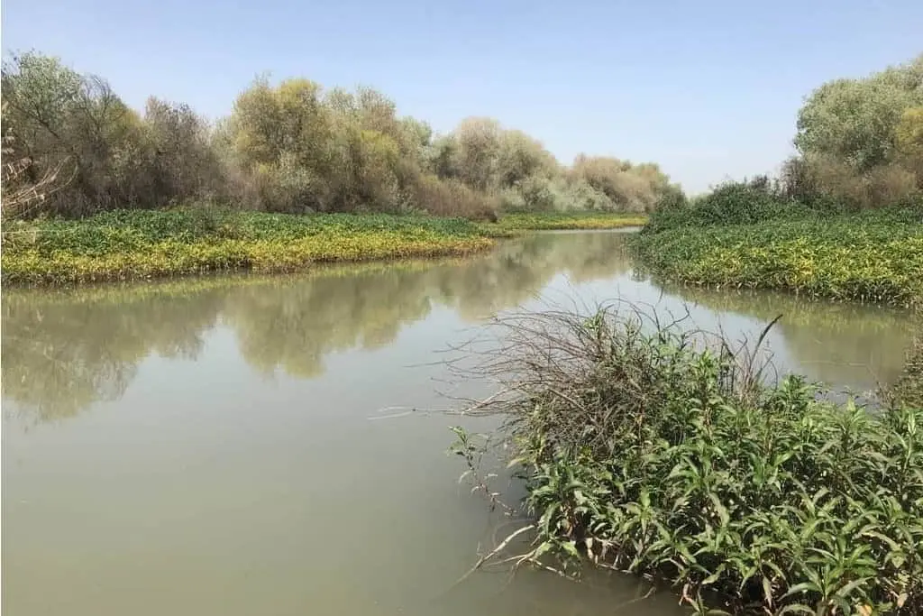 پوشش گیاهی پارک ملی دز یکی از جذاب‌ترین پارک های ملی ایران در جنوب