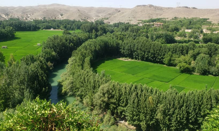 اجاره ویلا دوخواب دال خانی باغ بهادران