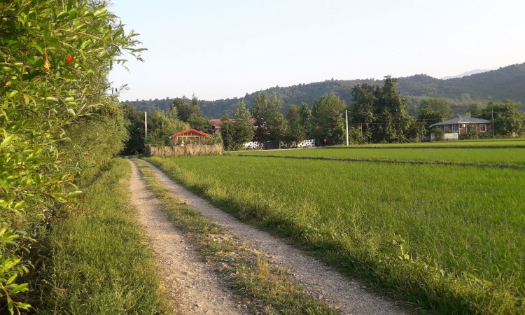 اجاره کلبه چوبی در روستای وشمه سرا