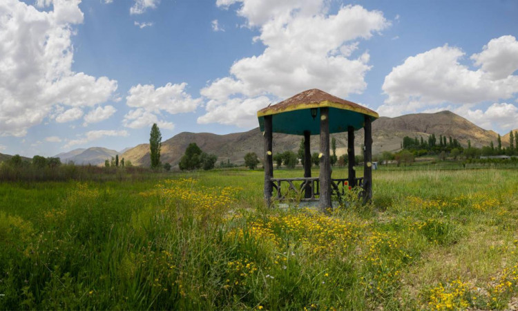 کلبه چوبی باران با استخر سانسی