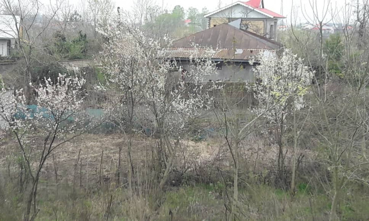 اجاره خانه معجزه لبخند روستای کشالم