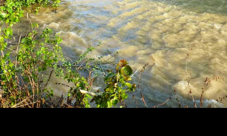 رزرو خانه روستایی لیجار