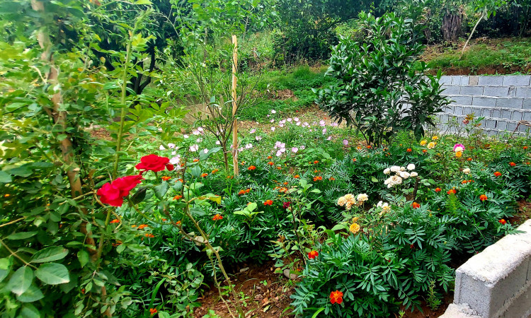 اجاره کلبه چشمه روستای واسکس قائم شهر