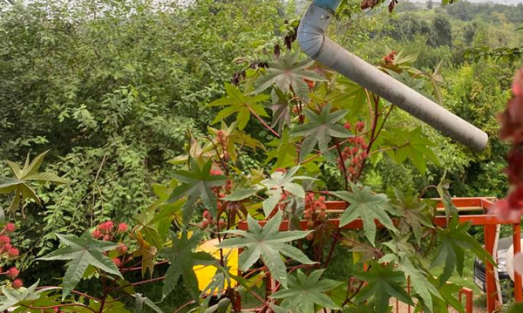 اجاره کلبه چشمه روستای واسکس قائم شهر