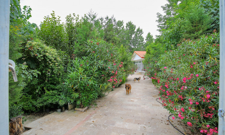 اجاره ویلا پاتوق شمرون ، کچا (رشت)