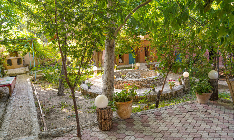 بومگردی سرای مادری (نباتی)