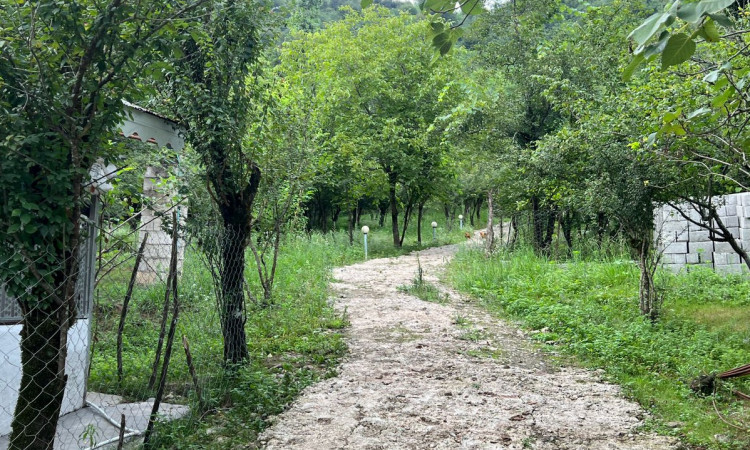 اجاره ویلا باغ تکخوابه ماسال روستای اهکلان