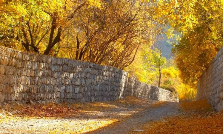 اجاره ویلا مبله ایذه روستای شیوند