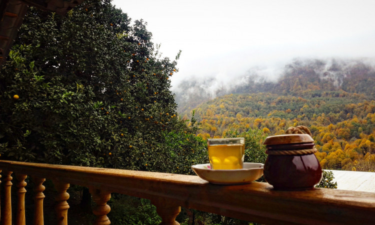 خانه ایی در بهشت - کلبه دلبر