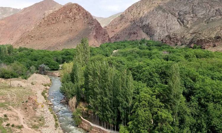 رزرو بوم گردی سیمین کنار فیروزکوه(اتاق 4 نفره با کرسی)