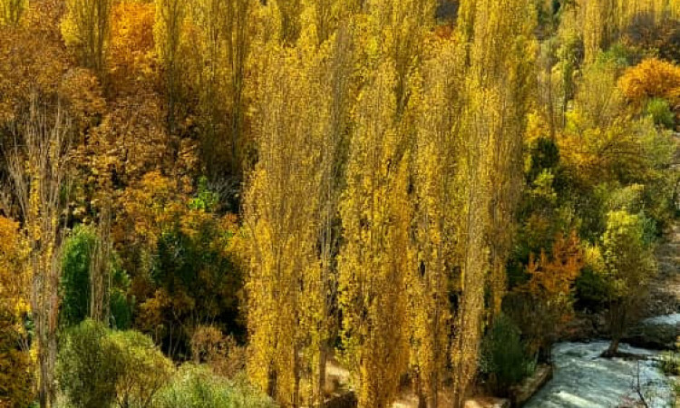 رزرو بوم گردی سیمین کنار فیروزکوه(اتاق 4 نفره با کرسی)