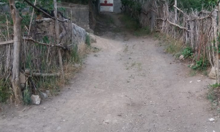 اجاره باغ ویلای یک خوابه دهکده روستای برغان