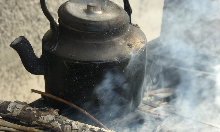 اجاره باغ ويلا چناران