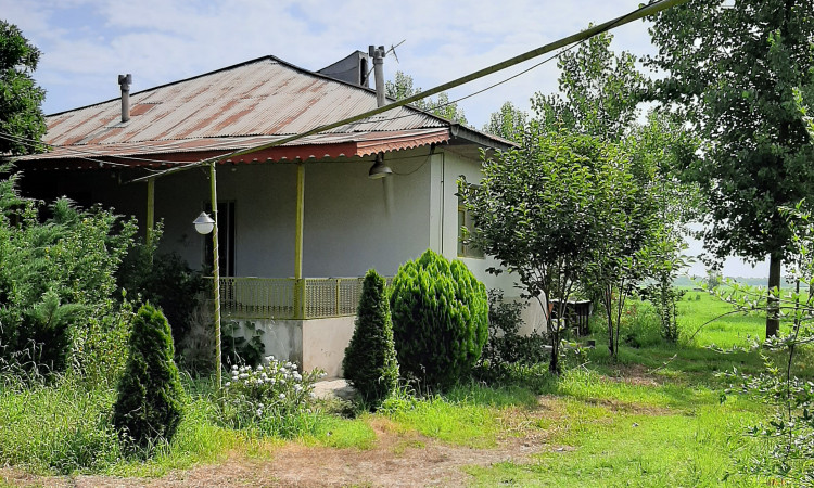 اجاره ویلای روستایی دنج(وسط شالیزار)