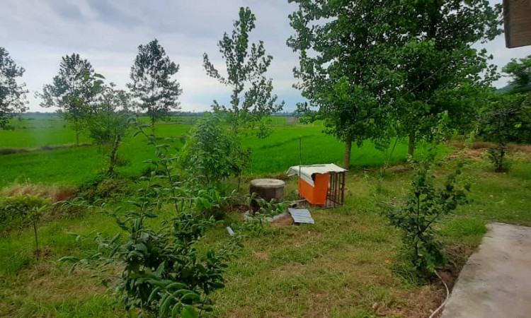 اجاره ویلای روستایی دنج(وسط شالیزار)