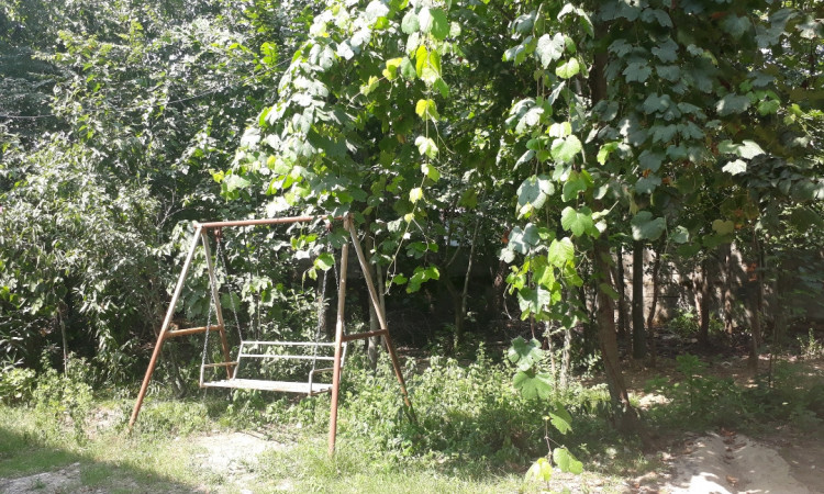 اجاره ویلا سرسبز روستایی جاده ماسوله