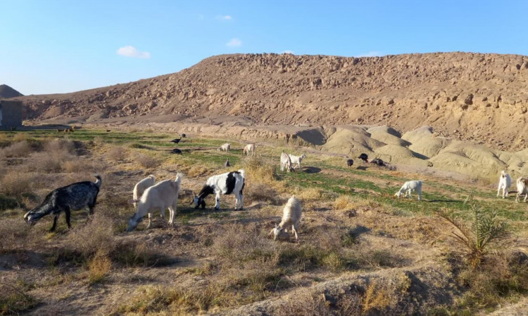 رزرو بوم گردی آبشکوه واحد 6