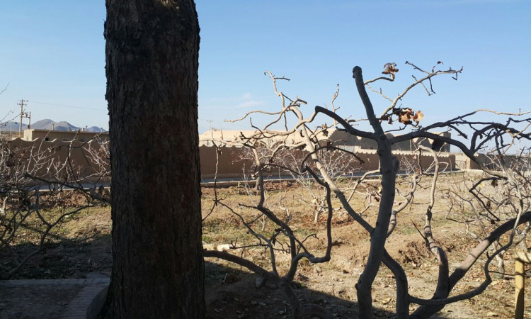 رزرو بوم گردی دهکده بیدک اتاق کویر