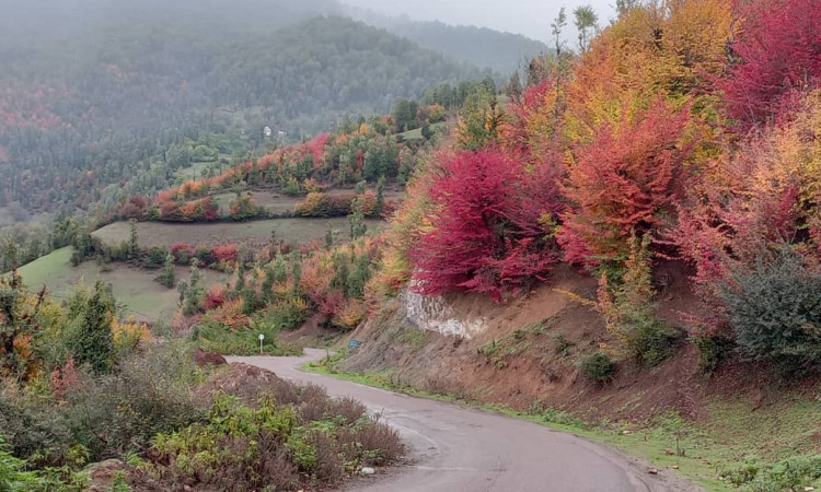 اجاره ویلا کوهستانی گلها