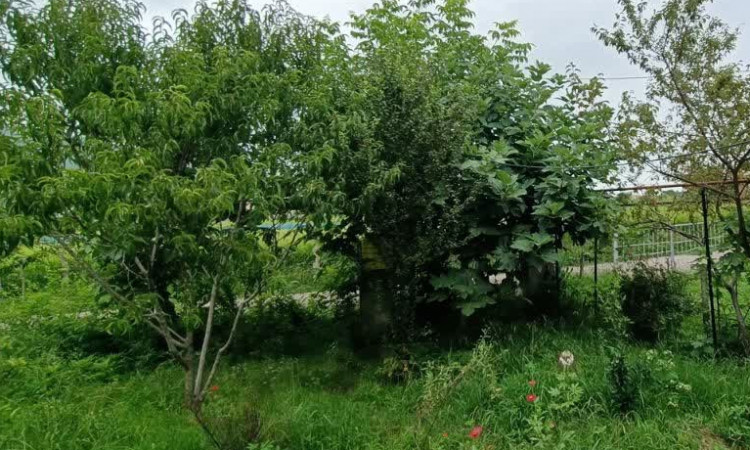 ویلا 2 خواب روستای سرسبز مهدی خان محله