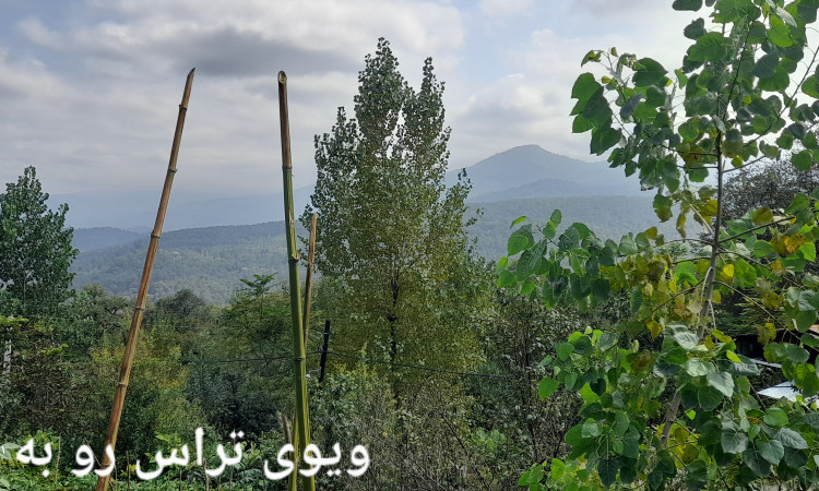 خانه ویلایی جنگلی