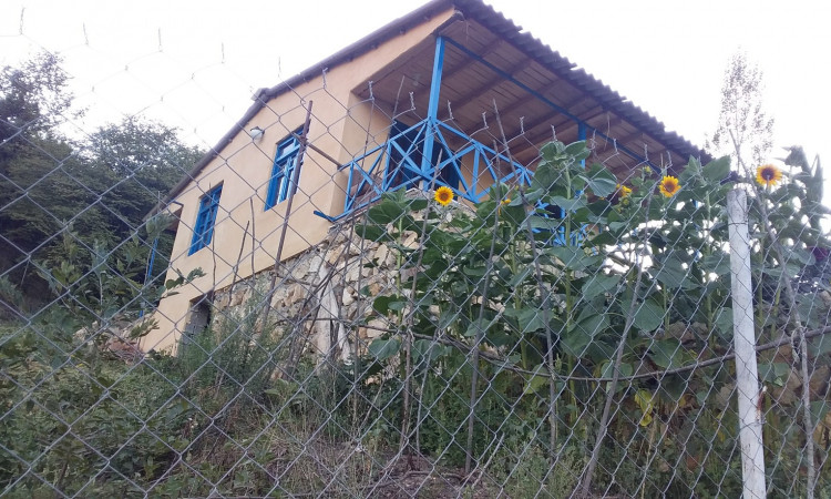 رزرو کلبه جنگلی در روستای زیارت