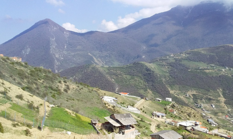 رزرو کلبه جنگلی در روستای زیارت