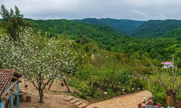 اجاره بوم گردی منظره - کلبه یاس