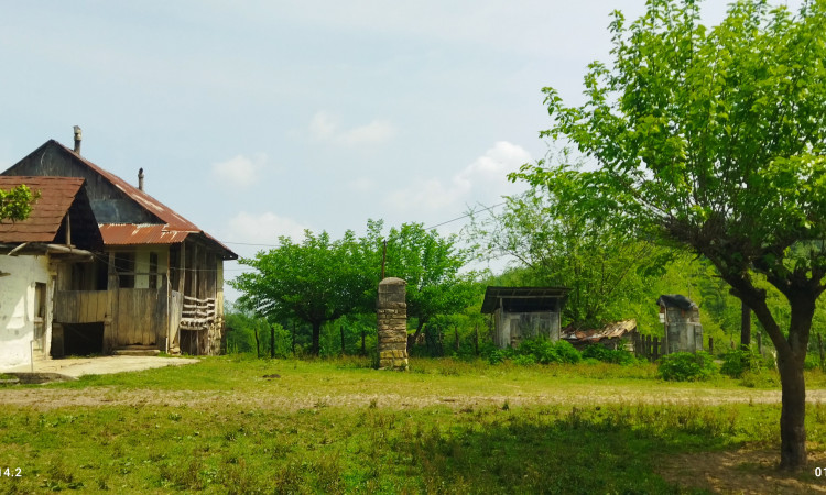 اجاره کلبه سنتی تک خواب تقیا