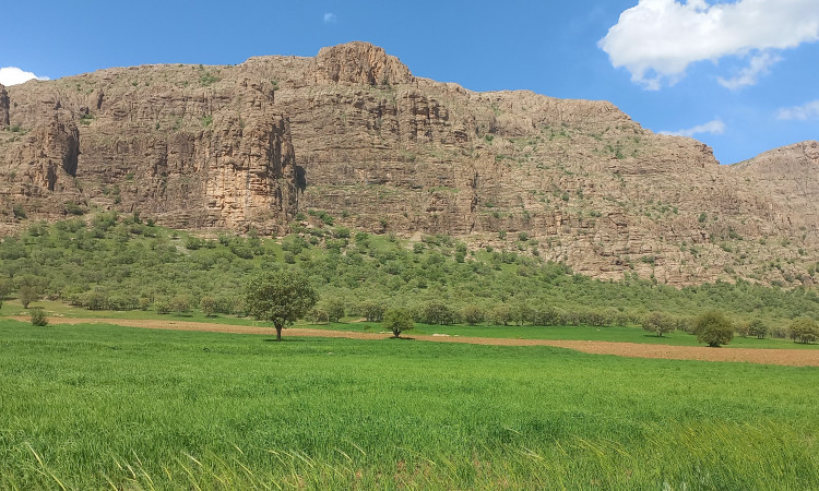 بوم گردی لرستان در کنار آبشار گریت