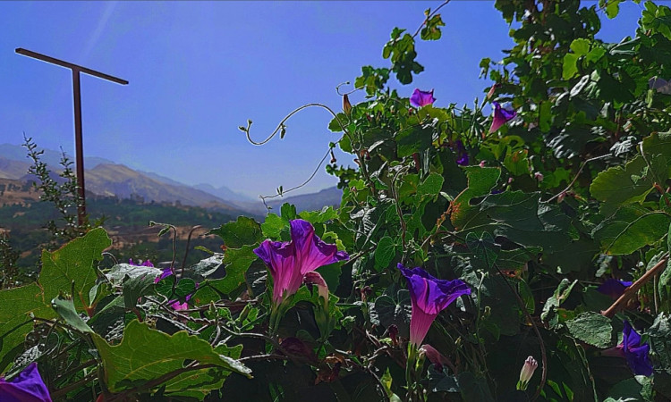 رزرو بوم گردی با چشم انداز کوهستان