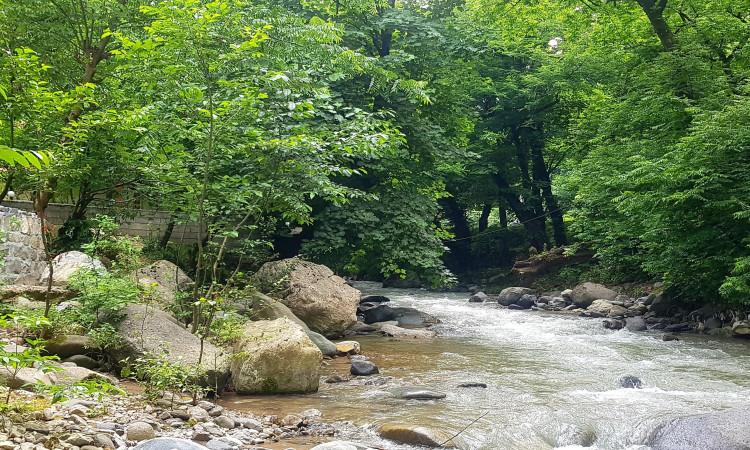 رزرو کلبه چوبی امیر دوبلکس لب رودخانه و جنگل