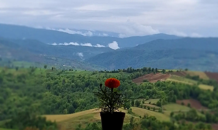 اجاره ویلا رویای آسمان